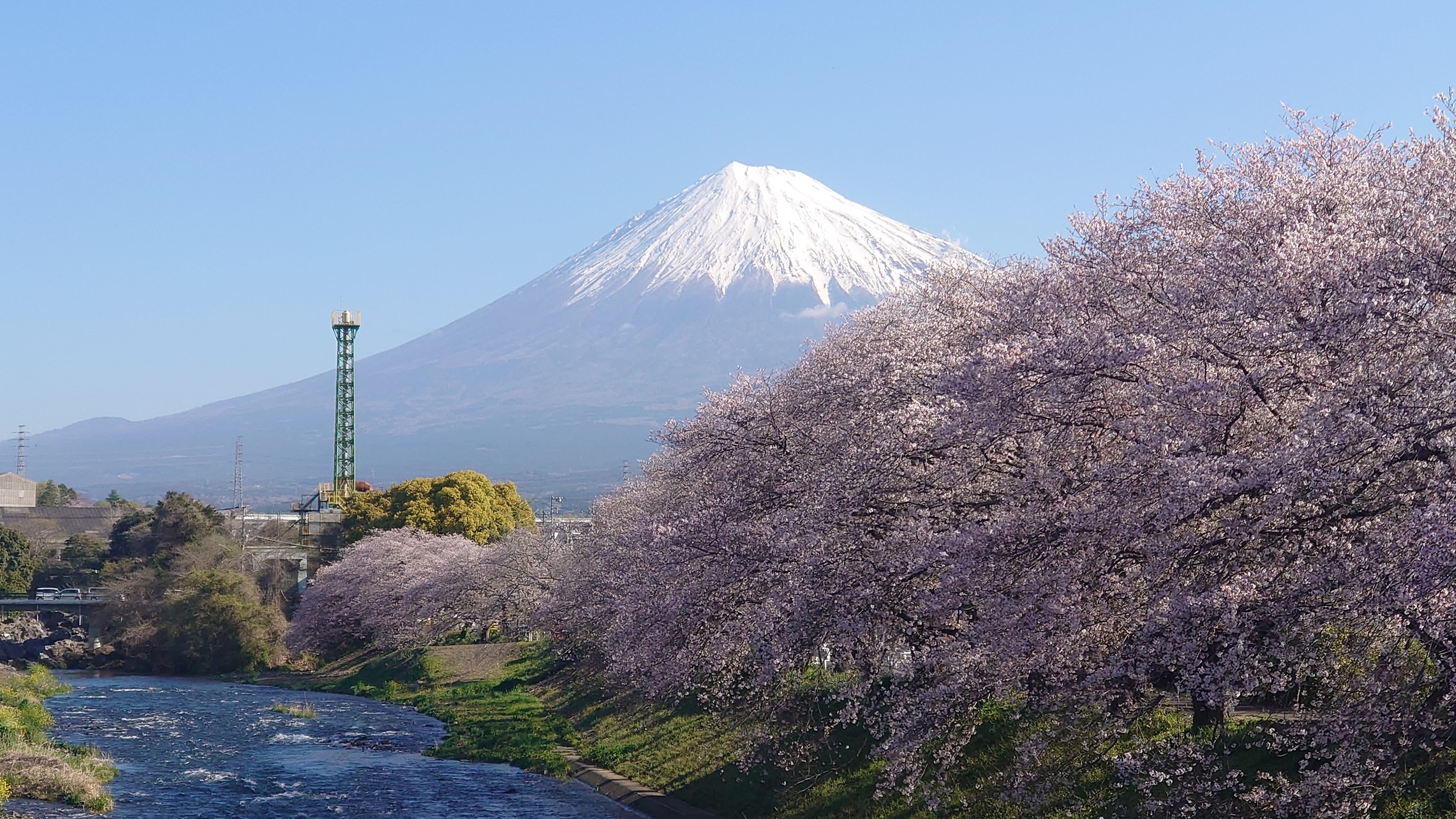 不破聖衣来復活